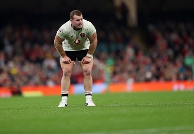 151125 - Wales v Japan - Quilter Nations Series - Dewi Lake of Wales 