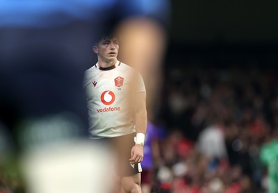 151125 - Wales v Japan - Quilter Nations Series - Dan Edwards of Wales 