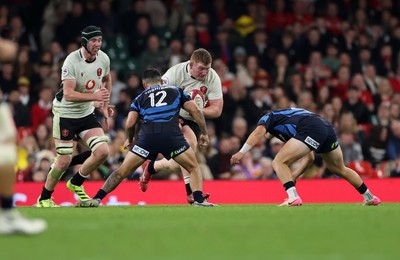 151125 - Wales v Japan - Quilter Nations Series - Rhys Carre of Wales 