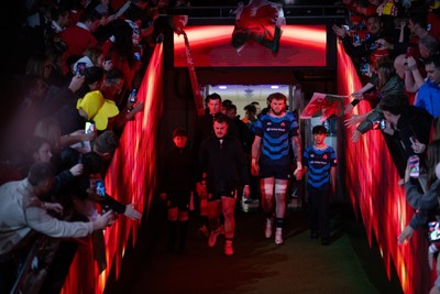 151125 - Wales v Japan - Quilter Nations Series - Teams walk down the tunnel at the start of the match