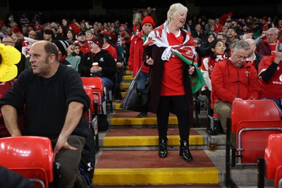 151125 - Wales v Japan - Quilter Nations Series - Fans