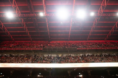 151125 - Wales v Japan - Quilter Nations Series - Fans