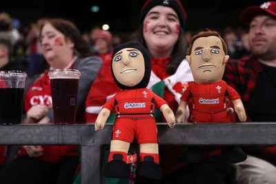 151125 - Wales v Japan - Quilter Nations Series - Fans