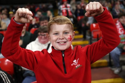 151125 - Wales v Japan - Quilter Nations Series - Fans