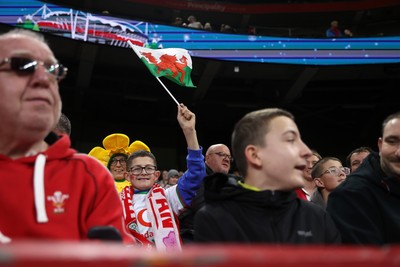 151125 - Wales v Japan - Quilter Nations Series - Fans