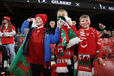 151125 - Wales v Japan - Quilter Nations Series - Fans