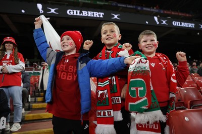 151125 - Wales v Japan - Quilter Nations Series - Fans