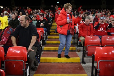 151125 - Wales v Japan - Quilter Nations Series - Fans