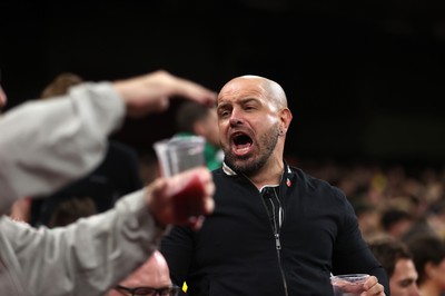 151125 - Wales v Japan - Quilter Nations Series - Fans