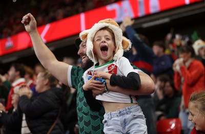 151125 - Wales v Japan - Quilter Nations Series - Fans