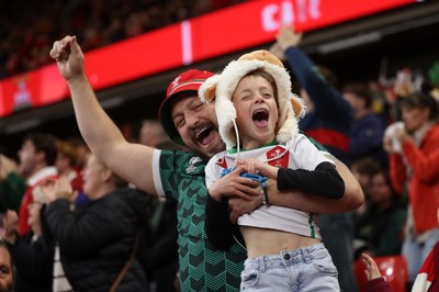 151125 - Wales v Japan - Quilter Nations Series - Fans