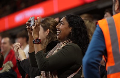 151125 - Wales v Japan - Quilter Nations Series - Fans
