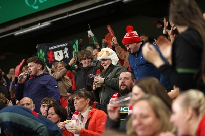 151125 - Wales v Japan - Quilter Nations Series - Fans