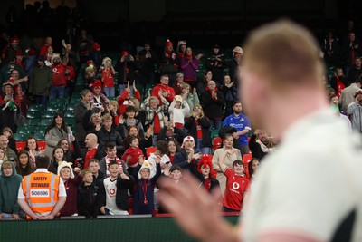 151125 - Wales v Japan - Quilter Nations Series - Fans