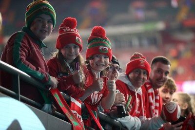 151125 - Wales v Japan - Quilter Nations Series - Fans