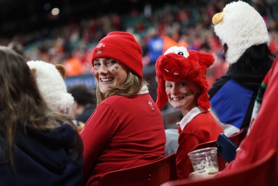151125 - Wales v Japan - Quilter Nations Series - Fans