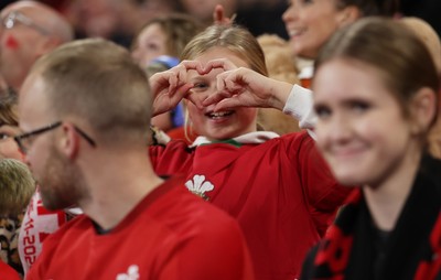 151125 - Wales v Japan - Quilter Nations Series - Fans