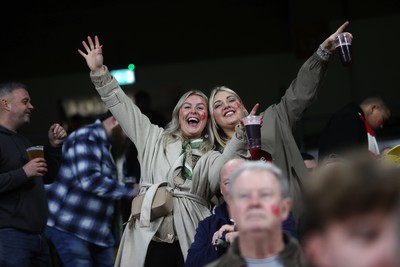 151125 - Wales v Japan - Quilter Nations Series - Fans