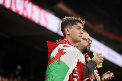 151125 - Wales v Japan - Quilter Nations Series - Fans