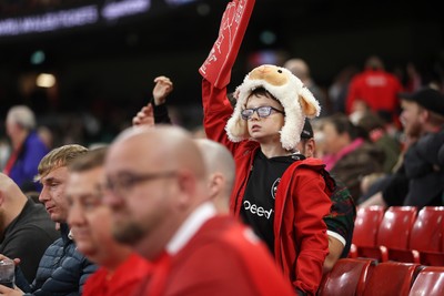 151125 - Wales v Japan - Quilter Nations Series - Fans