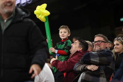 151125 - Wales v Japan - Quilter Nations Series - Fans