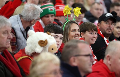 151125 - Wales v Japan - Quilter Nations Series - Fans