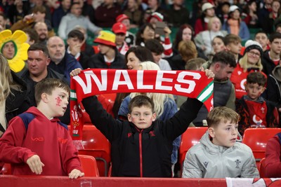 151125 - Wales v Japan - Quilter Nations Series - Fans