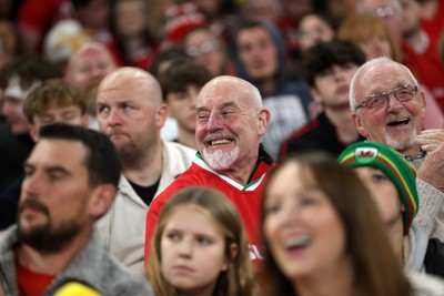 151125 - Wales v Japan - Quilter Nations Series - Fans