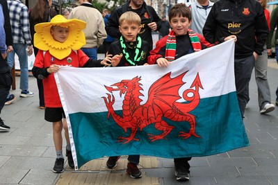 151125 - Wales v Japan - Quilter Nations Series - Wales fans outside the stadium