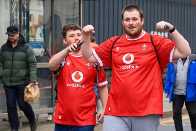 151125 - Wales v Japan - Quilter Nations Series - Wales fans outside the stadium