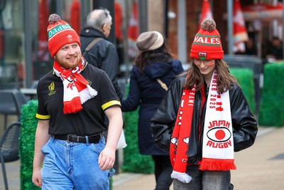 151125 - Wales v Japan - Quilter Nations Series - Wales fans outside the stadium