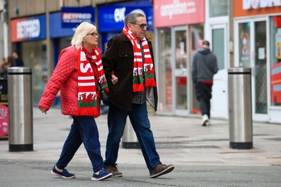 151125 - Wales v Japan - Quilter Nations Series - Wales fans outside the stadium