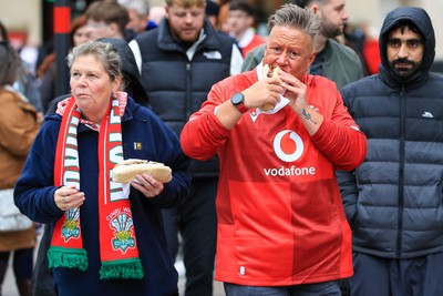 151125 - Wales v Japan - Quilter Nations Series - Wales fans outside the stadium