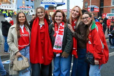 151125 - Wales v Japan - Quilter Nations Series - Wales fans outside the stadium