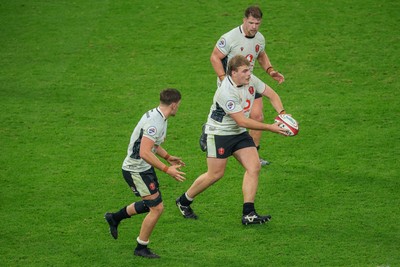 151125 - Wales v Japan - Quilter Nations Series - 