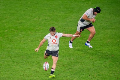 151125 - Wales v Japan - Quilter Nations Series - Dan Edwards of Wales