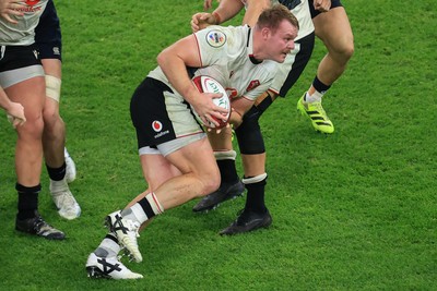 151125 - Wales v Japan - Quilter Nations Series - Dewi Lake of Wales