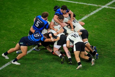151125 - Wales v Japan - Quilter Nations Series - Liam Belcher of Wales