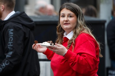 151125 - Wales v Japan - Quilter Nations Series - Wales fans before the match