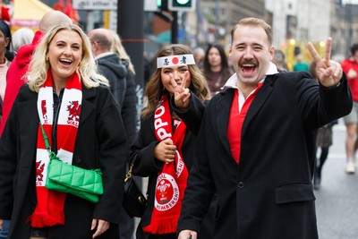 151125 - Wales v Japan - Quilter Nations Series - Wales fans before the match