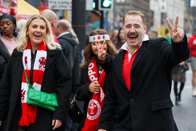 151125 - Wales v Japan - Quilter Nations Series - Wales fans before the match