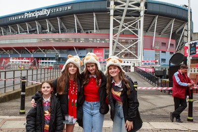 151125 - Wales v Japan - Quilter Nations Series - Wales fans before the match