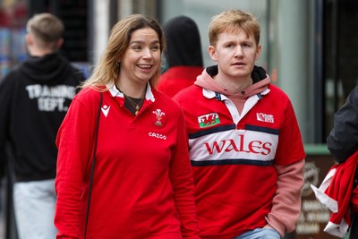 151125 - Wales v Japan - Quilter Nations Series - Wales fans before the match
