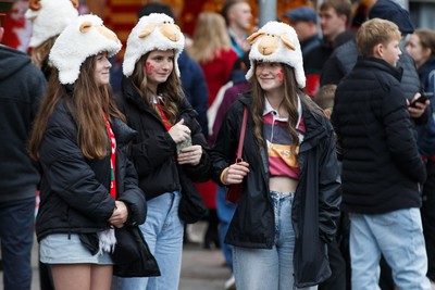 151125 - Wales v Japan - Quilter Nations Series - Wales fans before the match