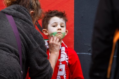 151125 - Wales v Japan - Quilter Nations Series - Wales fans before the match