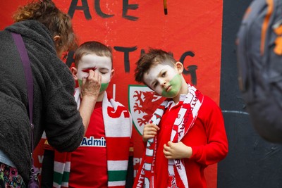 151125 - Wales v Japan - Quilter Nations Series - Wales fans before the match