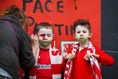 151125 - Wales v Japan - Quilter Nations Series - Wales fans before the match