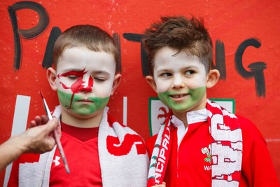 151125 - Wales v Japan - Quilter Nations Series - Wales fans before the match