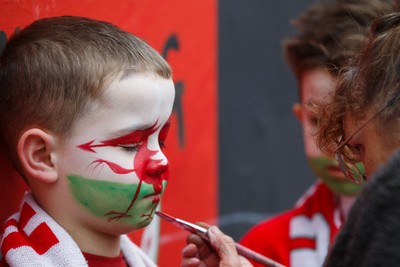 151125 - Wales v Japan - Quilter Nations Series - Wales fans before the match