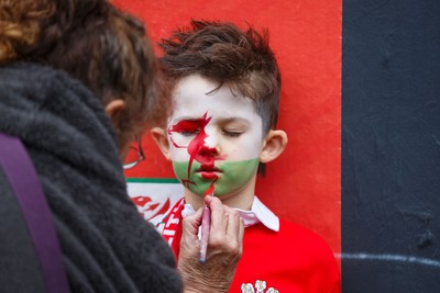 151125 - Wales v Japan - Quilter Nations Series - Wales fans before the match
